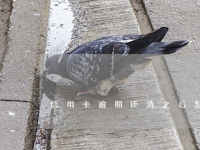 信用卡逾期还清之后怎么恢复 信用卡逾期还清之后怎么恢复