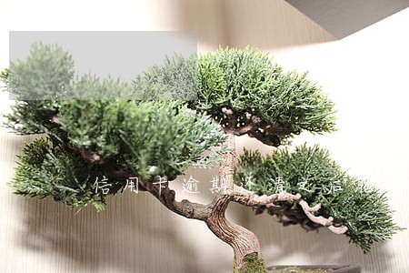 信用卡逾期还清之后能注销吗