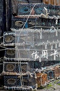 信用卡逾期还清也没法使用 信用卡逾期还清也没法使用