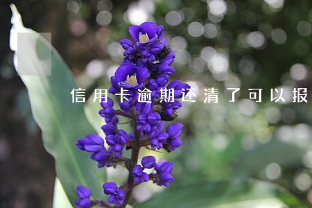 信用卡逾期还清了可以报考辅警 信用卡逾期还清了可以报考辅警