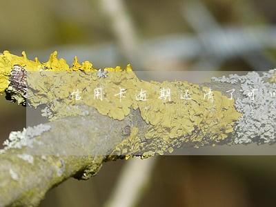 信用卡逾期还清了可以立即销户吗 信用卡逾期还清了可以立即销户吗