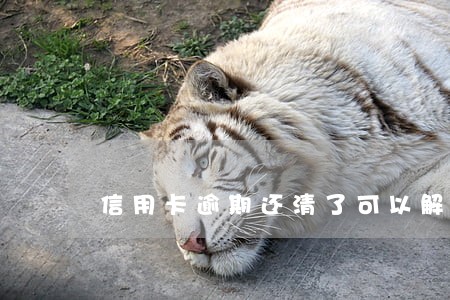信用卡逾期还清了可以解冻吗 信用卡逾期还清了可以解冻吗