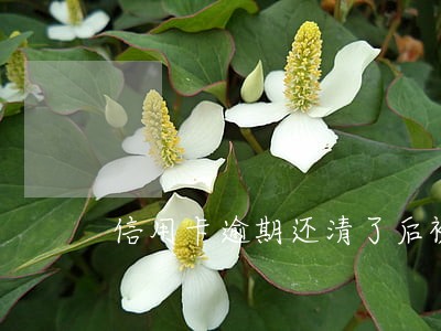 信用卡逾期还清了后被冻结
