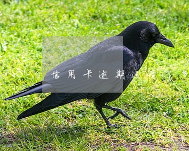 信用卡逾期还清了多久 信用卡逾期还清了多久