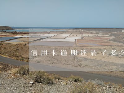 信用卡逾期还清了多久可以用 信用卡逾期还清了多久可以用