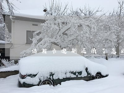 信用卡逾期还清了怎么解冻 信用卡逾期还清了怎么解冻