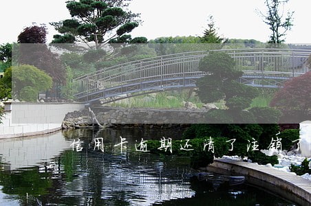 信用卡逾期还清了注销了 信用卡逾期还清了注销了