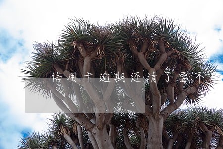信用卡逾期还清了要不要注销卡 信用卡逾期还清了要不要注销卡