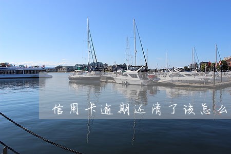 信用卡逾期还清了该怎么处理 信用卡逾期还清了该怎么处理