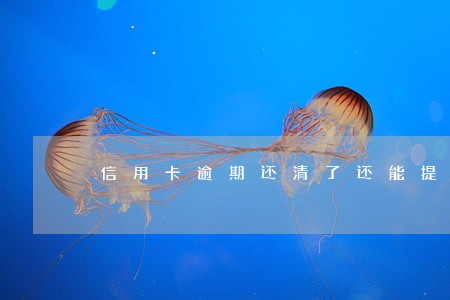 信用卡逾期还清了还能提额吗