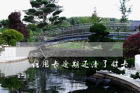 信用卡逾期还清了销卡