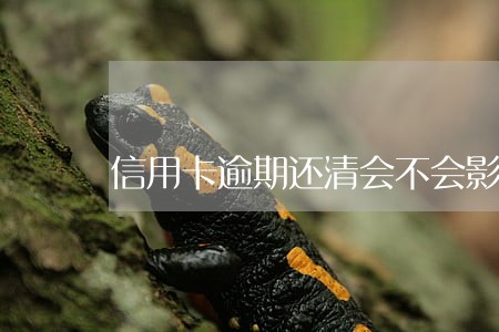 信用卡逾期还清会不会影响征信