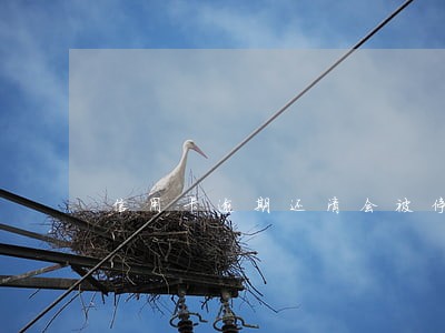 信用卡逾期还清会被停卡 信用卡逾期还清会被停卡