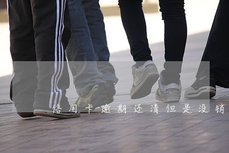 信用卡逾期还清但是没销卡