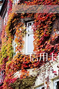 信用卡逾期还清借呗能开通吗 信用卡逾期还清借呗能开通吗