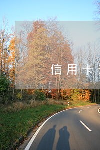 信用卡逾期还清做公司监事 信用卡逾期还清做公司监事