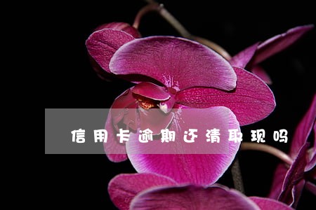 信用卡逾期还清取现吗 信用卡逾期还清取现吗