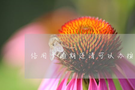 信用卡逾期还清可以办按揭