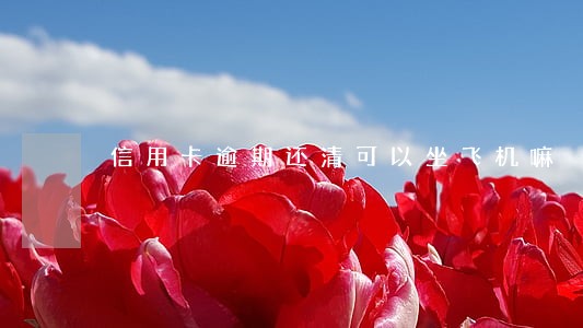 信用卡逾期还清可以坐飞机嘛 信用卡逾期还清可以坐飞机嘛
