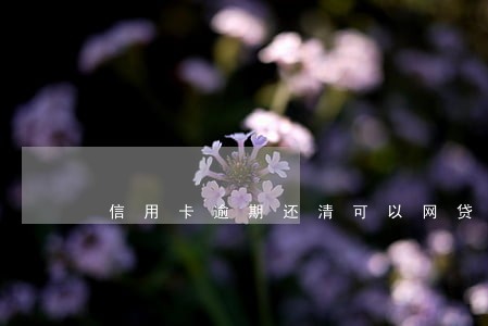 信用卡逾期还清可以网贷吗 信用卡逾期还清可以网贷吗