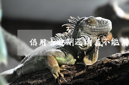 信用卡逾期还清后不能用了