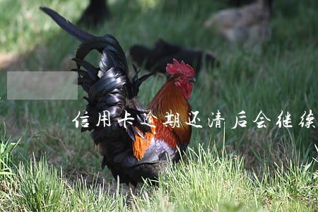 信用卡逾期还清后会继续计费吗