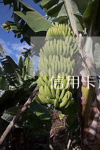 信用卡逾期还清后会自动注销吗