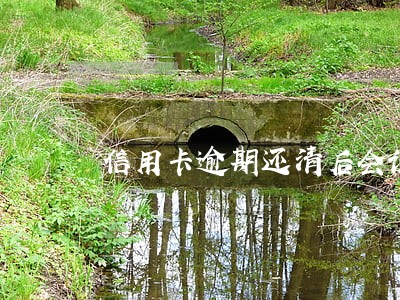 信用卡逾期还清后会说给我减免 信用卡逾期还清后会说给我减免