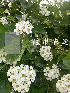 信用卡逾期还清后信用多久恢复 信用卡逾期还清后信用多久恢复