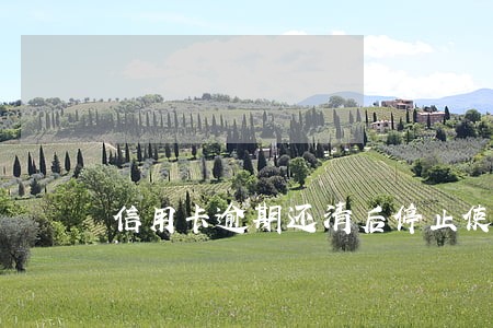 信用卡逾期还清后停止使用