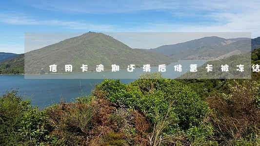 信用卡逾期还清后储蓄卡被冻结 信用卡逾期还清后储蓄卡被冻结