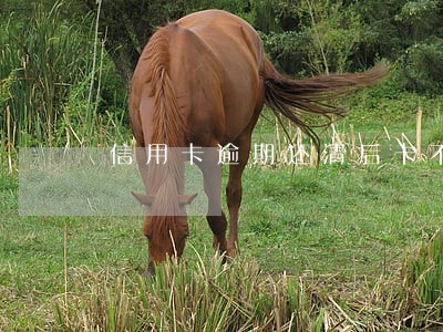 信用卡逾期还清后卡不能用了