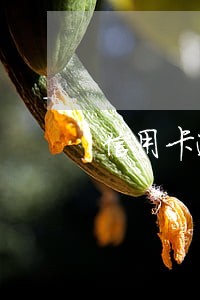 信用卡逾期还清后卡片状态正常 信用卡逾期还清后卡片状态正常