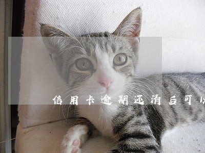 信用卡逾期还清后可以申请止付吗 信用卡逾期还清后可以申请止付吗