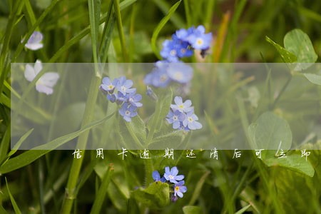 信用卡逾期还清后可立即解冻吗