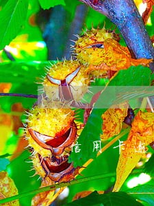 信用卡逾期还清后多久可以办卡