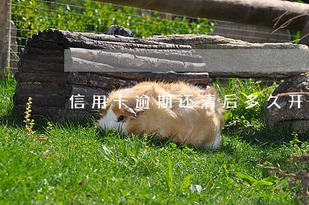 信用卡逾期还清后多久开卡 信用卡逾期还清后多久开卡