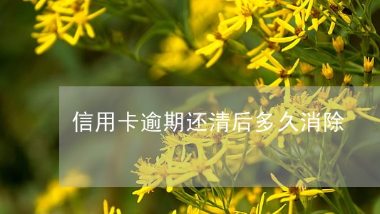 信用卡逾期还清后多久消除 信用卡逾期还清后多久消除
