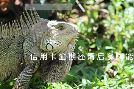 信用卡逾期还清后多久能办卡 信用卡逾期还清后多久能办卡
