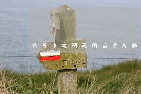 信用卡逾期还清后多久能提额