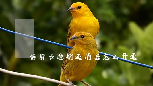 信用卡逾期还清后怎么开通 信用卡逾期还清后怎么开通