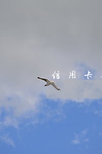 信用卡逾期还清后怎么样再申请 信用卡逾期还清后怎么样再申请