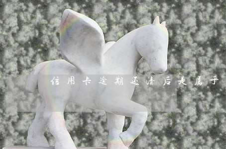 信用卡逾期还清后是属于呆账吗 信用卡逾期还清后是属于呆账吗