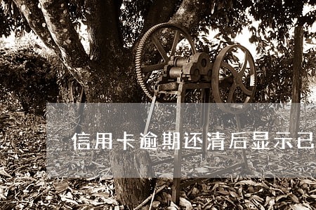 信用卡逾期还清后显示已失效 信用卡逾期还清后显示已失效