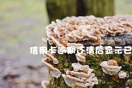 信用卡逾期还清后显示已挂失 信用卡逾期还清后显示已挂失