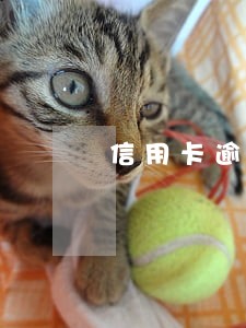 信用卡逾期还清后止付 信用卡逾期还清后止付