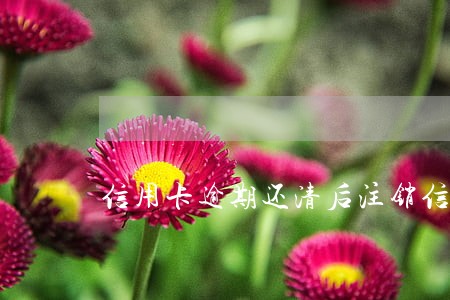 信用卡逾期还清后注销信用卡 信用卡逾期还清后注销信用卡