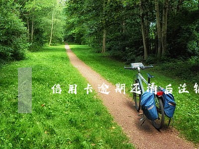 信用卡逾期还清后注销卡