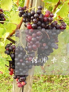 信用卡逾期还清后注销卡片怎么办