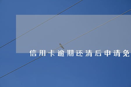 信用卡逾期还清后申请免息
